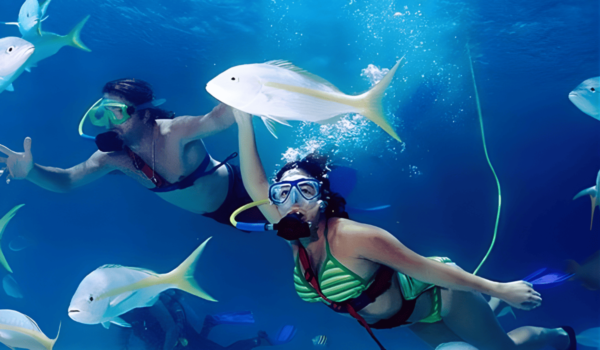 Xel-Há Grupo XCARET Buceo