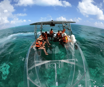 Bote transparente cozumel